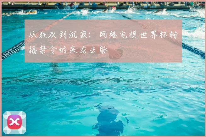 从狂欢到沉寂：网络电视世界杯转播禁令的来龙去脉