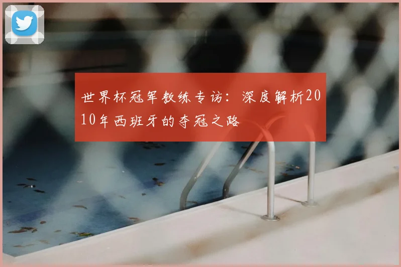 世界杯冠军教练专访：深度解析2010年西班牙的夺冠之路