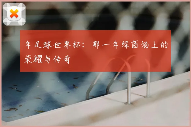 年足球世界杯：那一年绿茵场上的荣耀与传奇