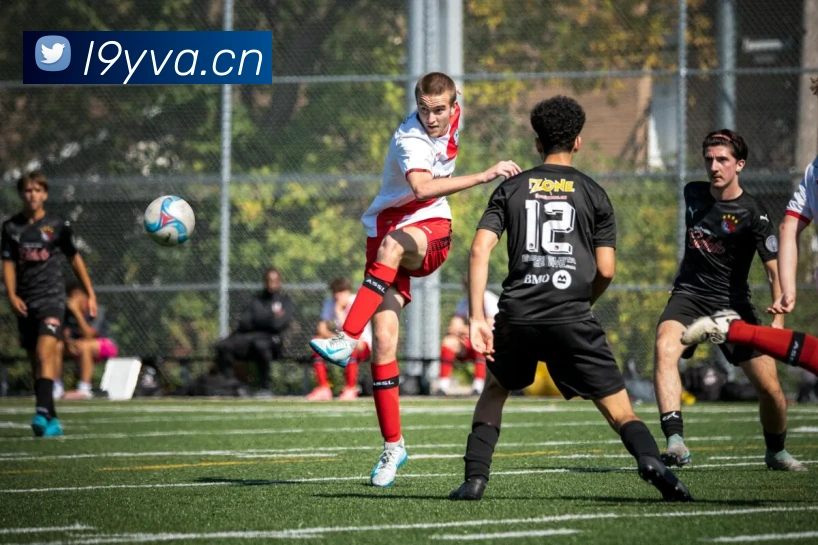 leyu乐鱼APP 封面图